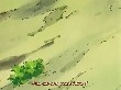 CNNaruto 035CN(24)Naruto 033 AnimeZz.info(1).jpg